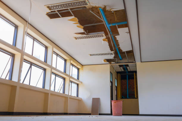 Best Commercial water damage restoration  in Coldwater, MS