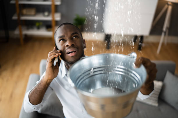 Best Flood restoration services  in Coldwater, MS
