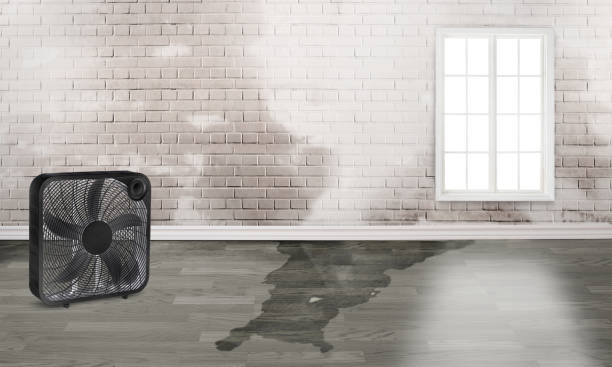 , MS Water damage restoration Company