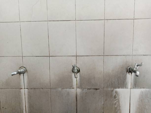 Best Emergency water damage restoration  in Coldwater, MS