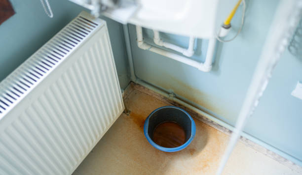 Best Water damage restoration near me  in Coldwater, MS