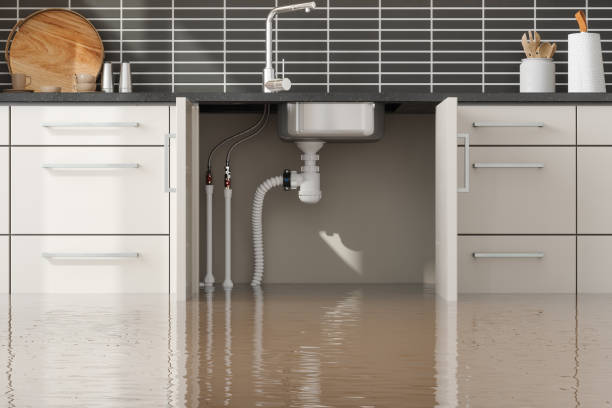 Best Water damage restoration near me  in Coldwater, MS
